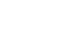 silicon-vikings-logo